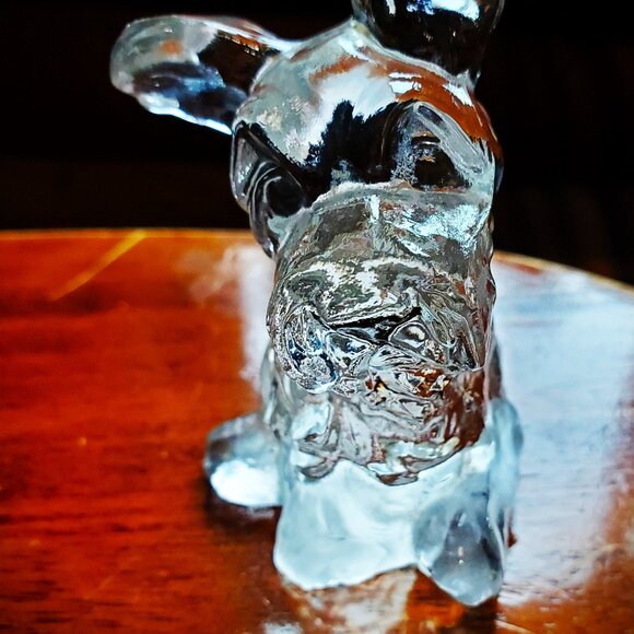 The Power of the Glass Pet Schnauzer - Picture 8 of 10